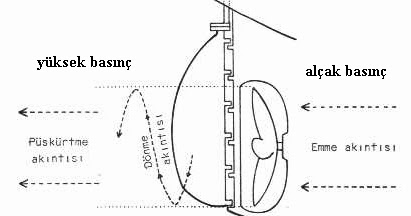 denizci gemi manevra etmenleri