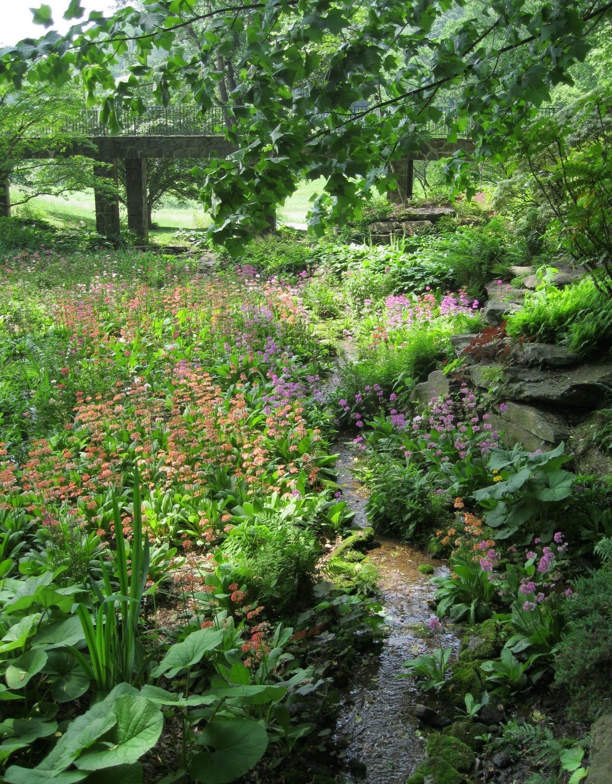 Two Nerdy History Girls Friday Garden Down the Primrose Path at