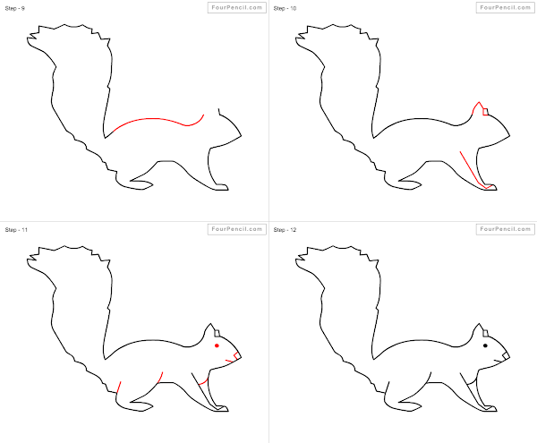How to draw Squirrel easy steps - slide 4
