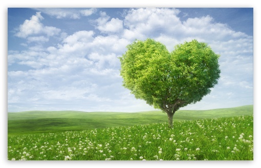 Wall Hit: Love Tree Wallpapers