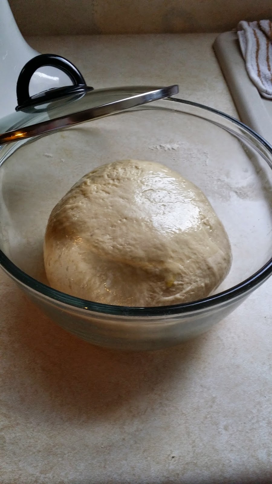 Mini Slice of Farm A lifetime supply of FREE yeast!! How to feed your