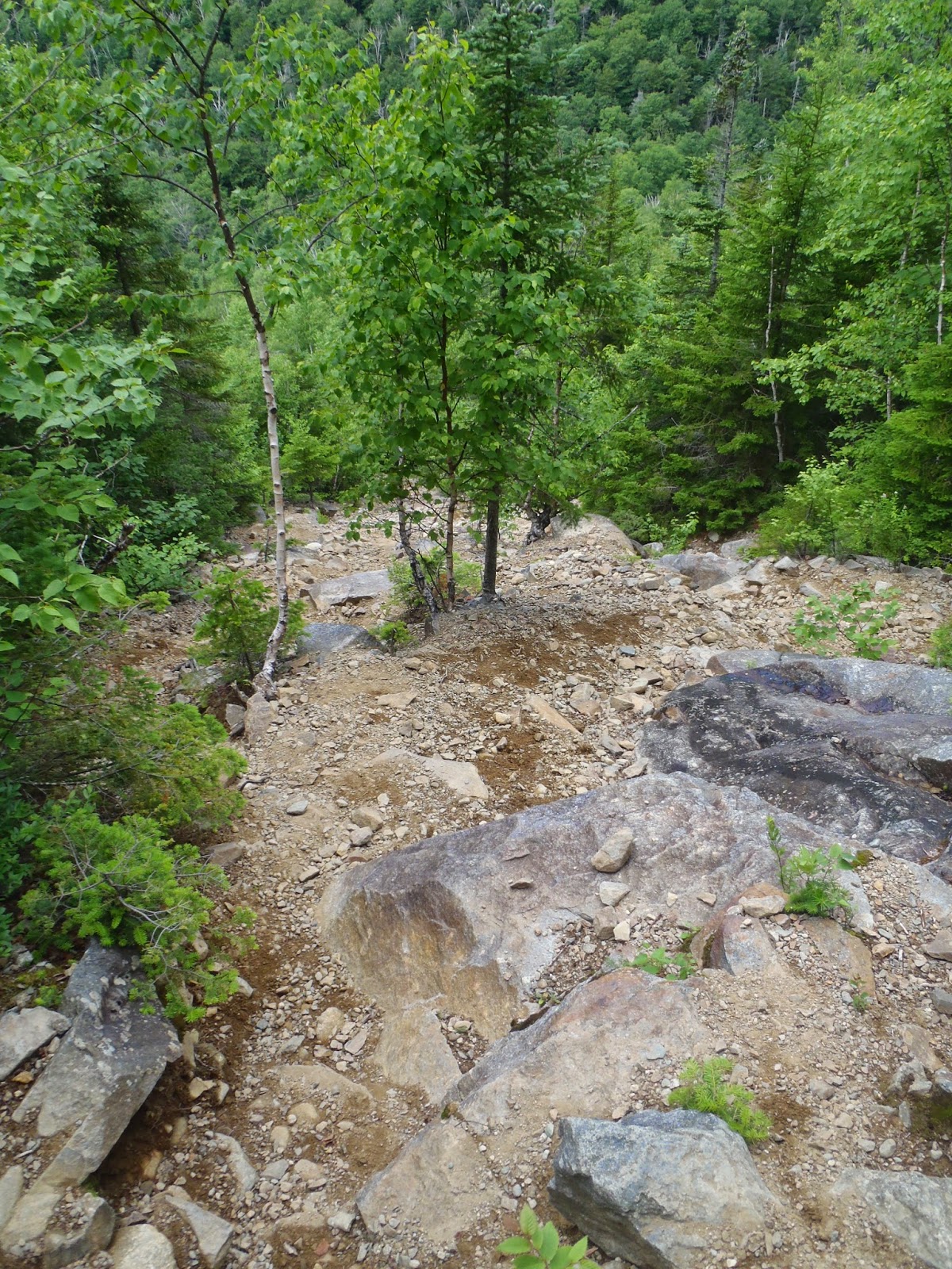 Owls Head (NH, 4000) TrailsNH Hiking Conditions
