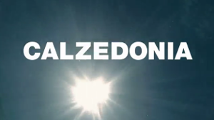 Calzedonia Summer 2013