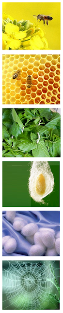 _bee_silkworm_.png