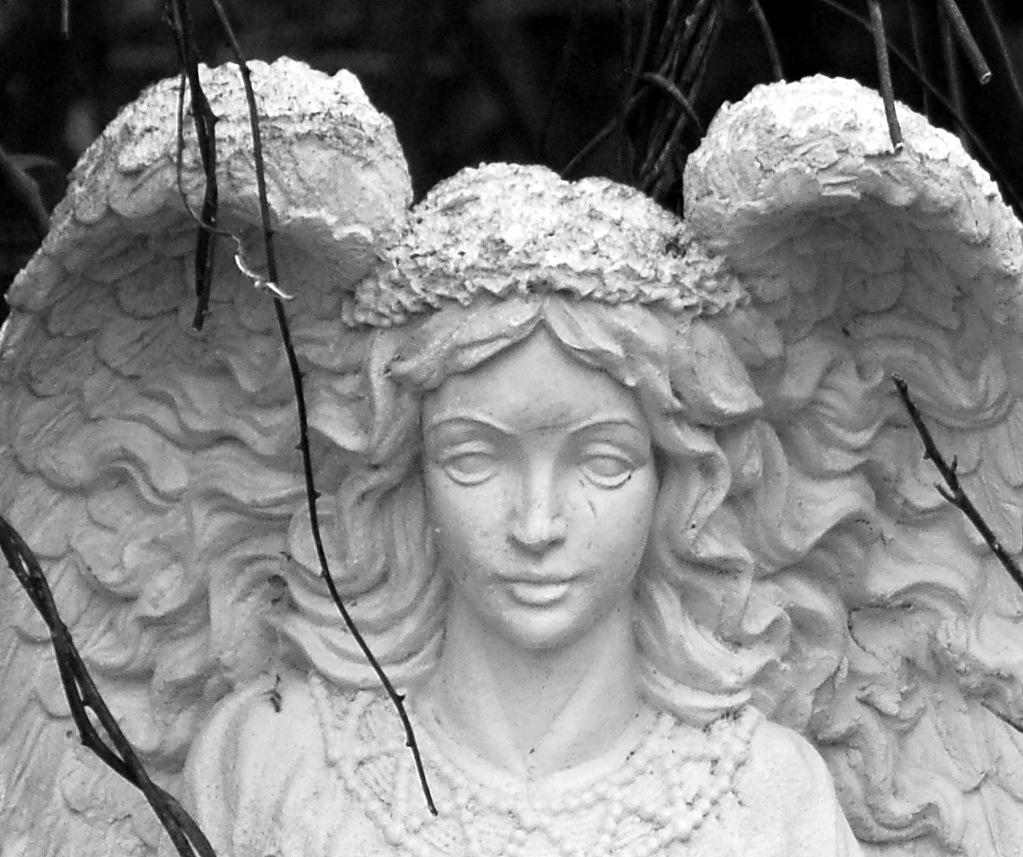 Walking In Beauty Angel Days