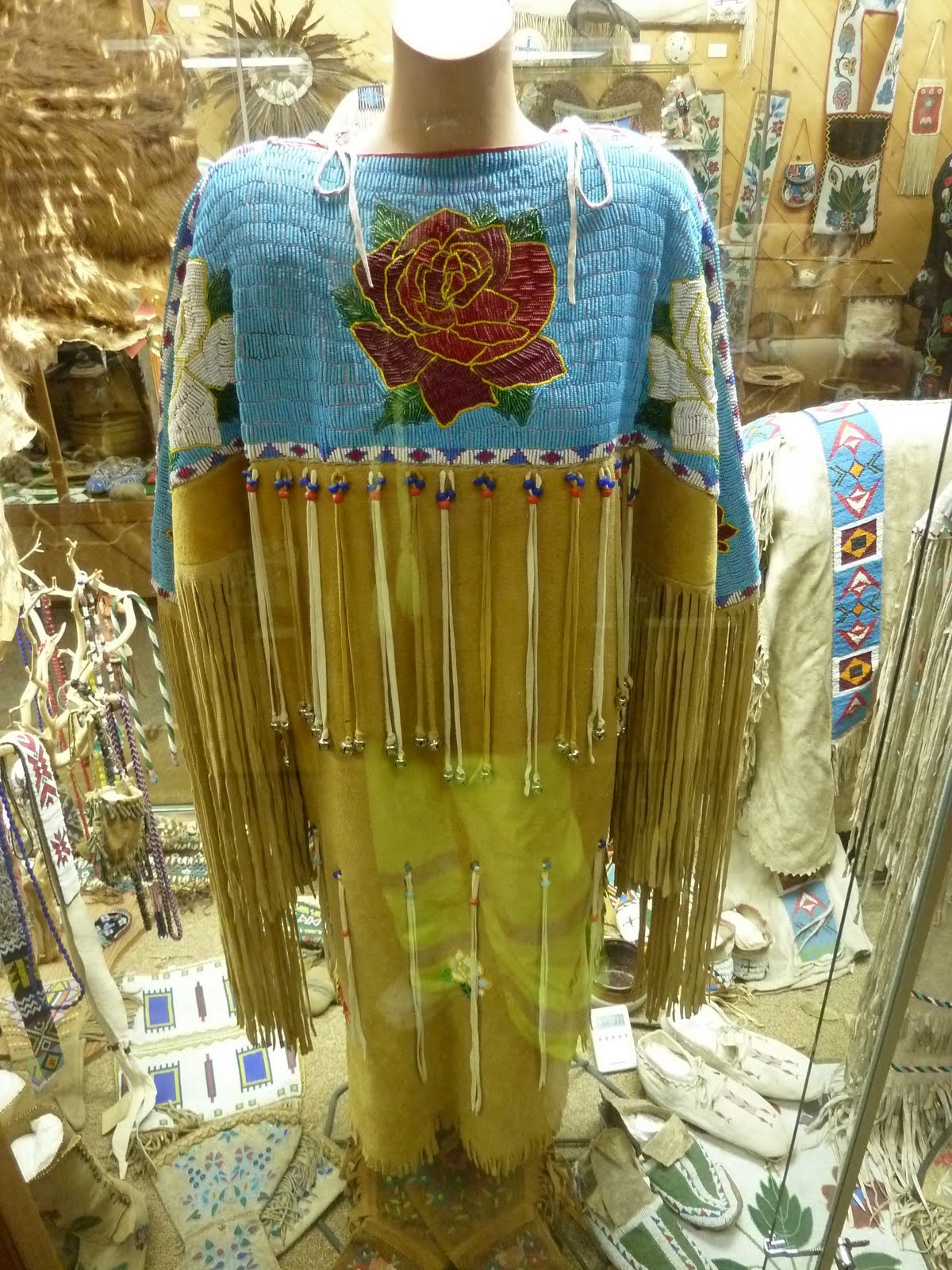 seniors walking across america DAY 46 CRESCENT CITY TREES OF MYSTERY