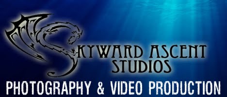 Skyward Ascent Studios