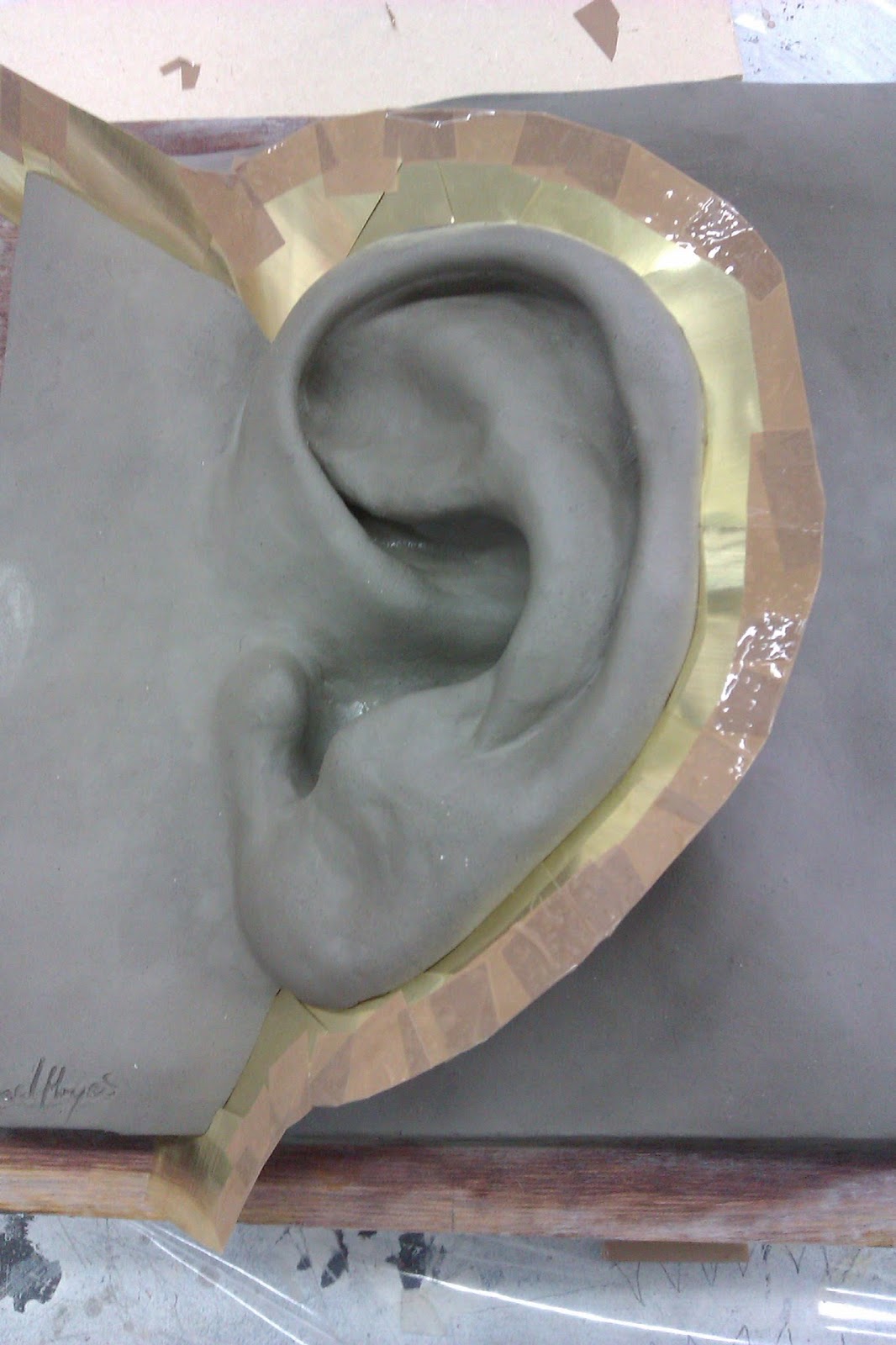 ear clay model