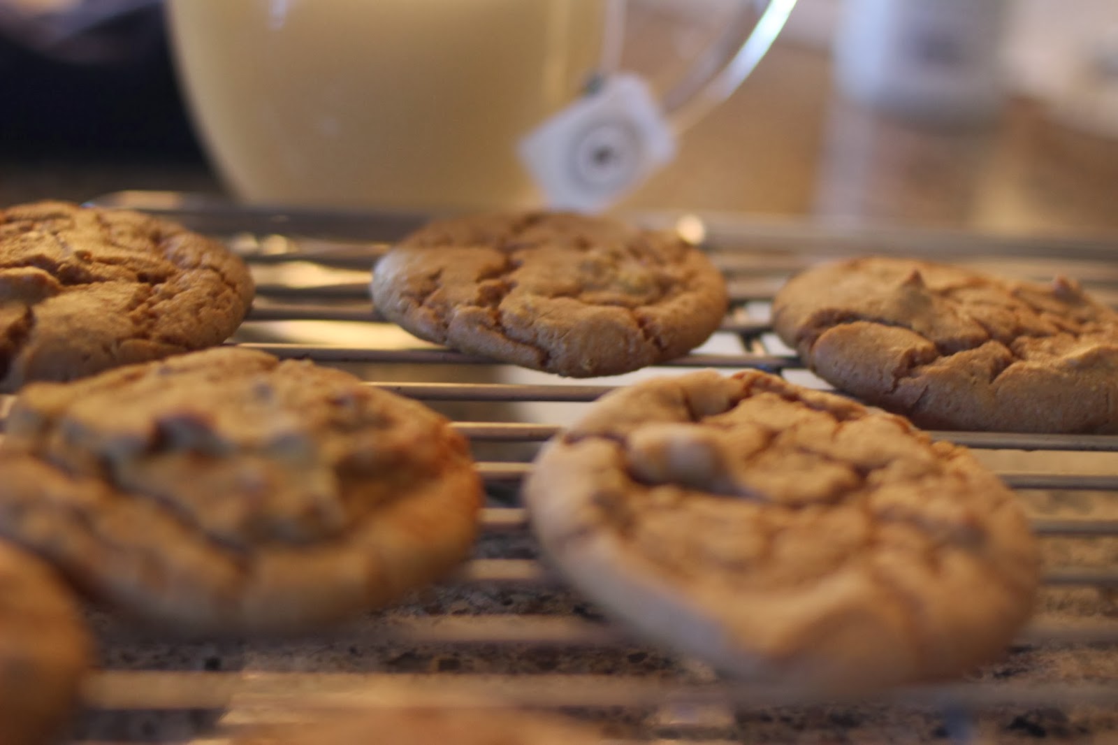 Running Girl Health and Fitness Pumpkin Spice Garbanzo Bean Cookies