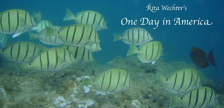 One Day in America