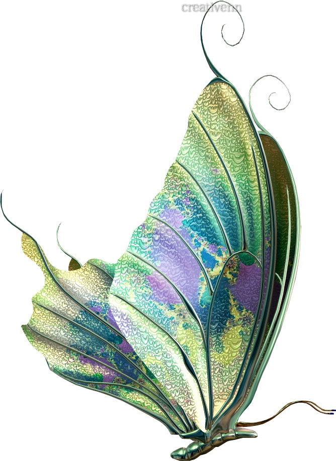 10 клипартов - красивые бабочки. PNG. Прозрачный фон. : На крыльях