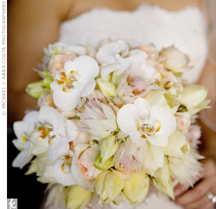 Blushing Bride Flower