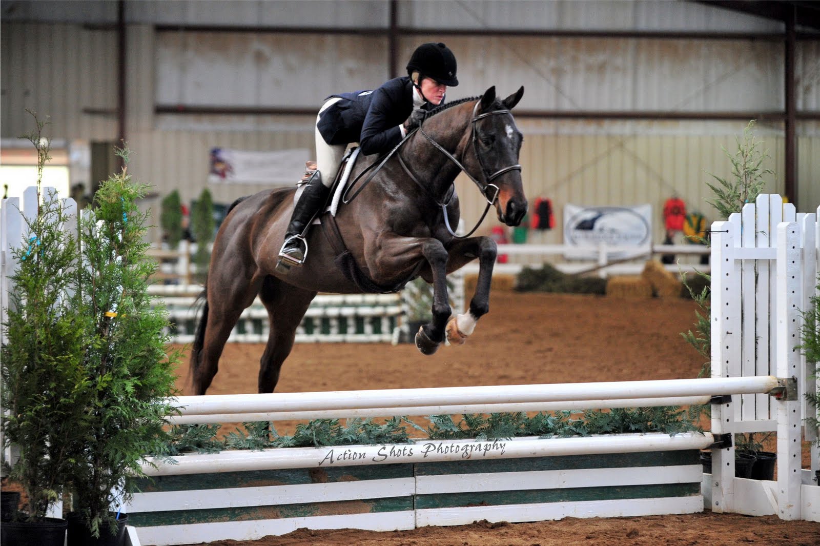THOROUGHBRED CELEBRATION HORSE SHOW Virginia Thoroughbred Association