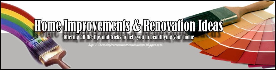 Home Improvement: Renovation Ideas