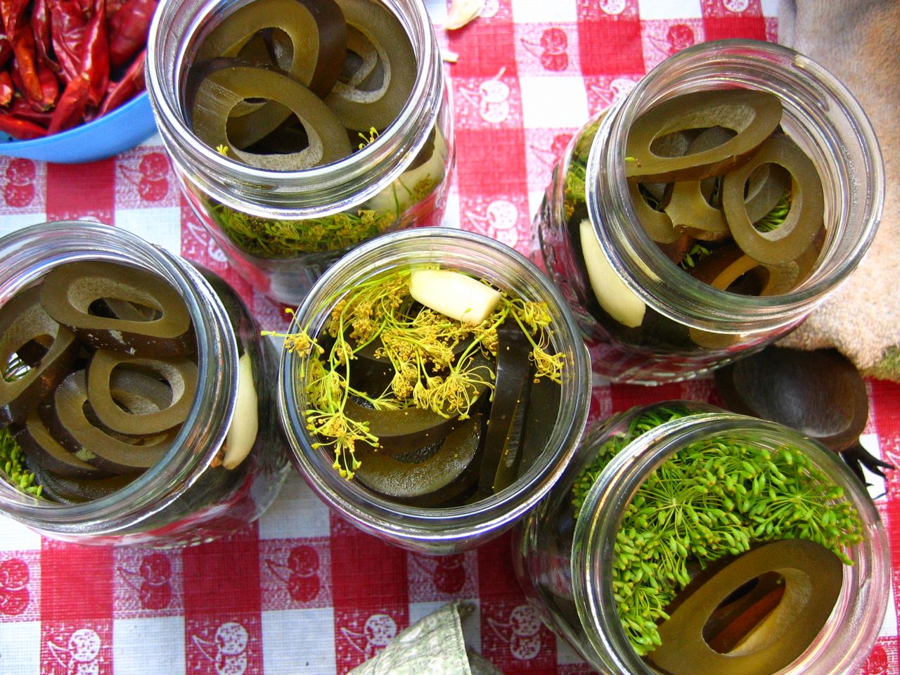 Methow Valley Herbs: Pickled Bullwhip Kelp