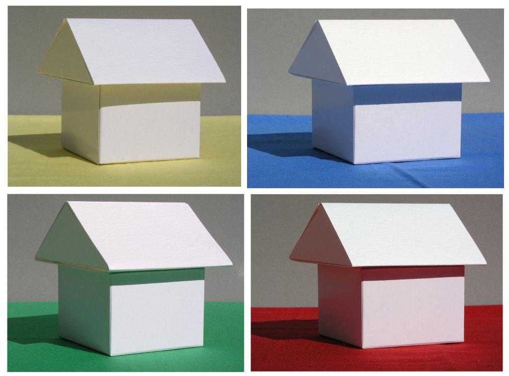 Brenda Swenson Reflective Light & Color in Shadows