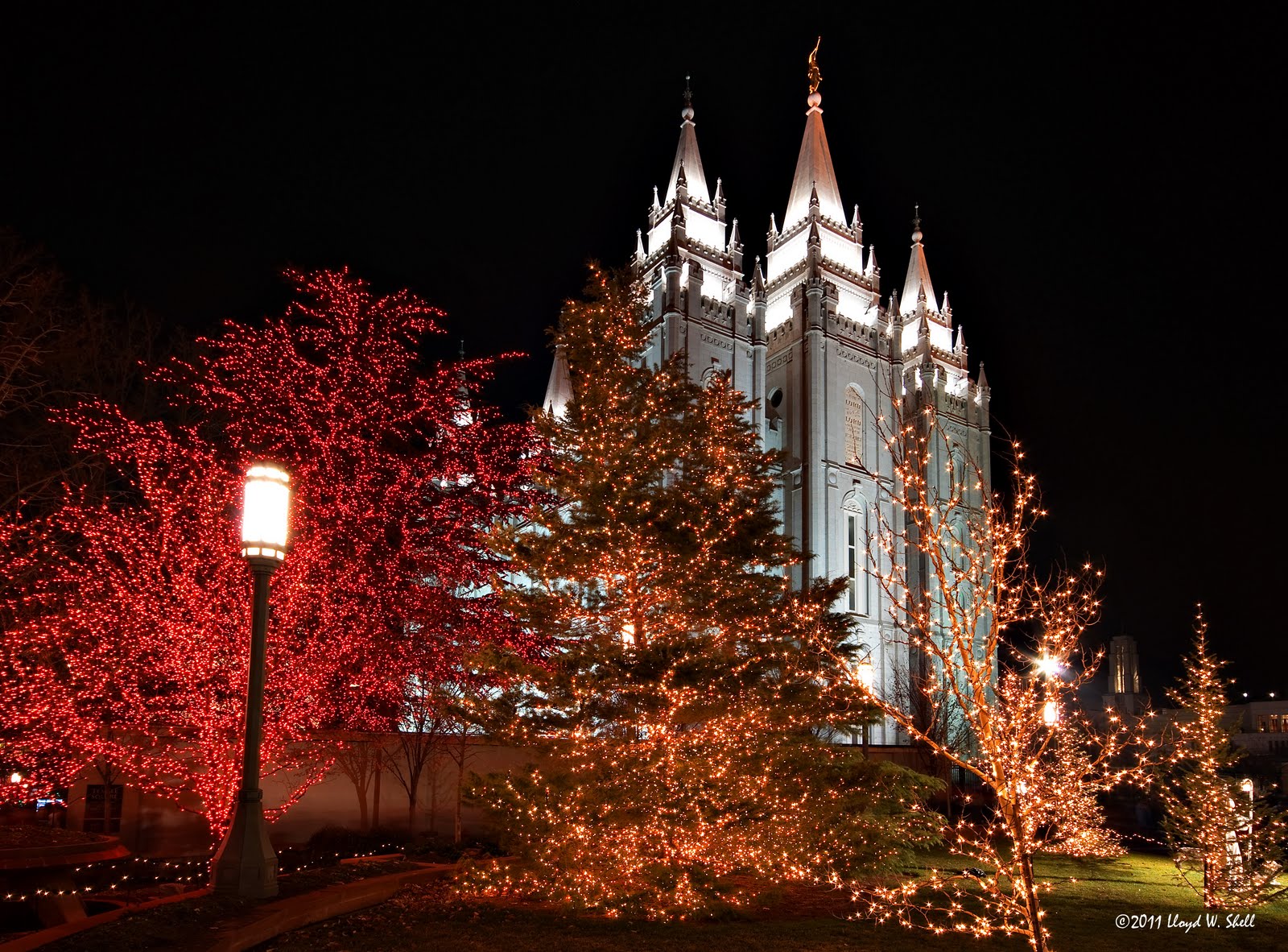 some dude with a camera temple square christmas lights 2011 some dude with a camera temple square christmas lights 2011