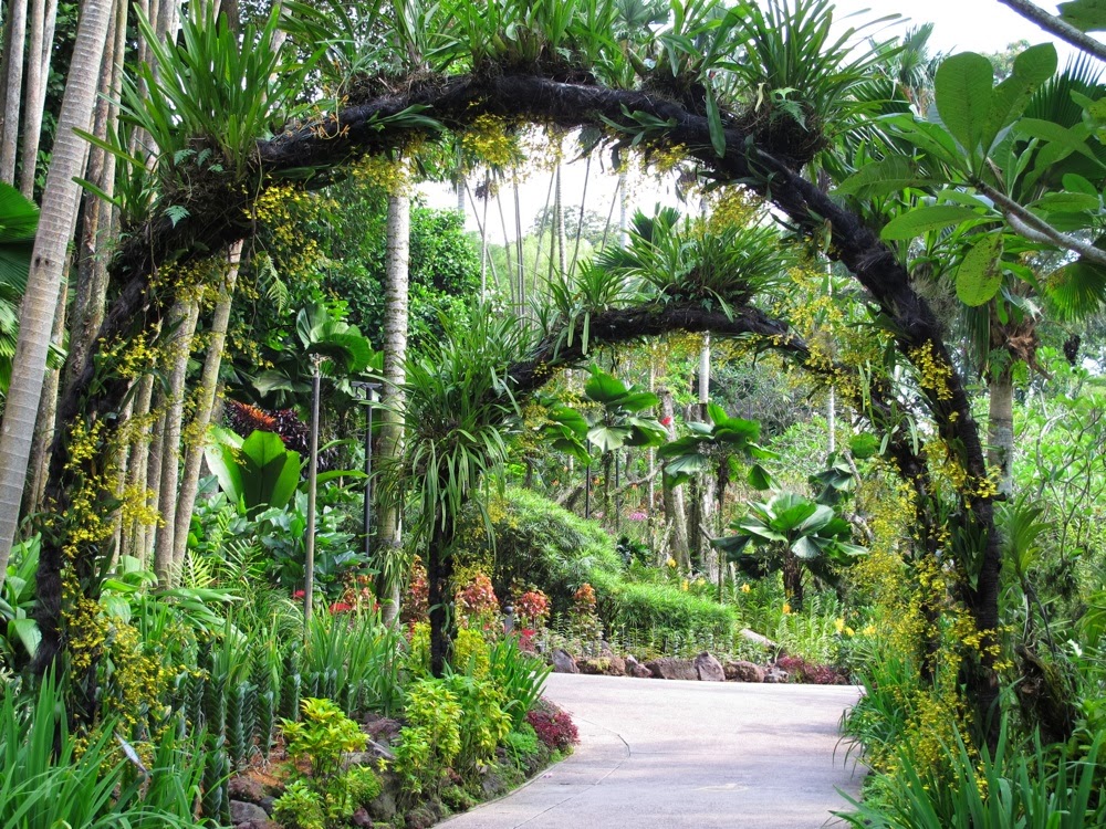 Desain Taman Anggrek - Serangkaian Kata