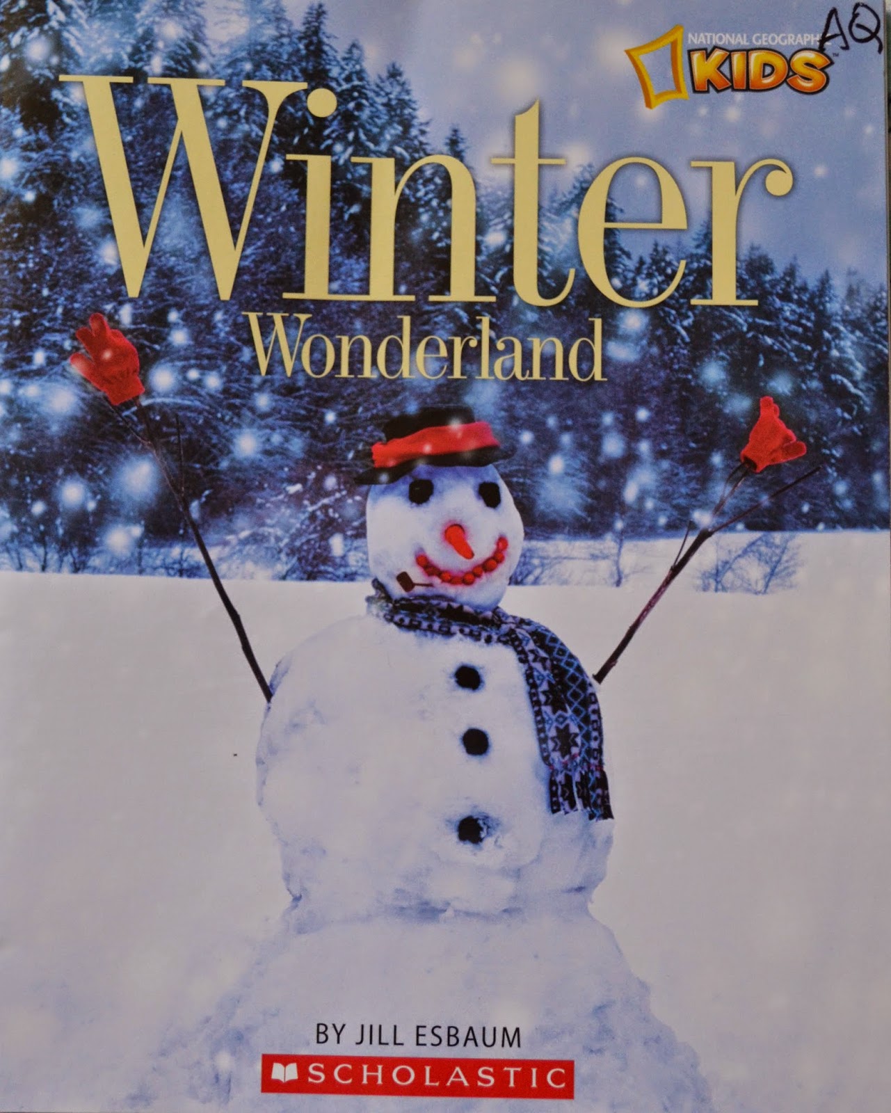 Book Blab Blithering by a Book Lover Winter Wonderland Winter NF