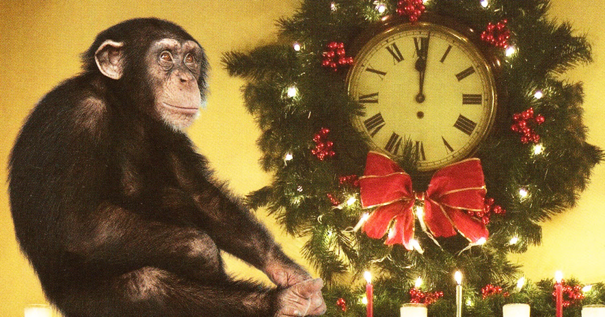 Monkey Muck Have yourself a monkey little Christmas