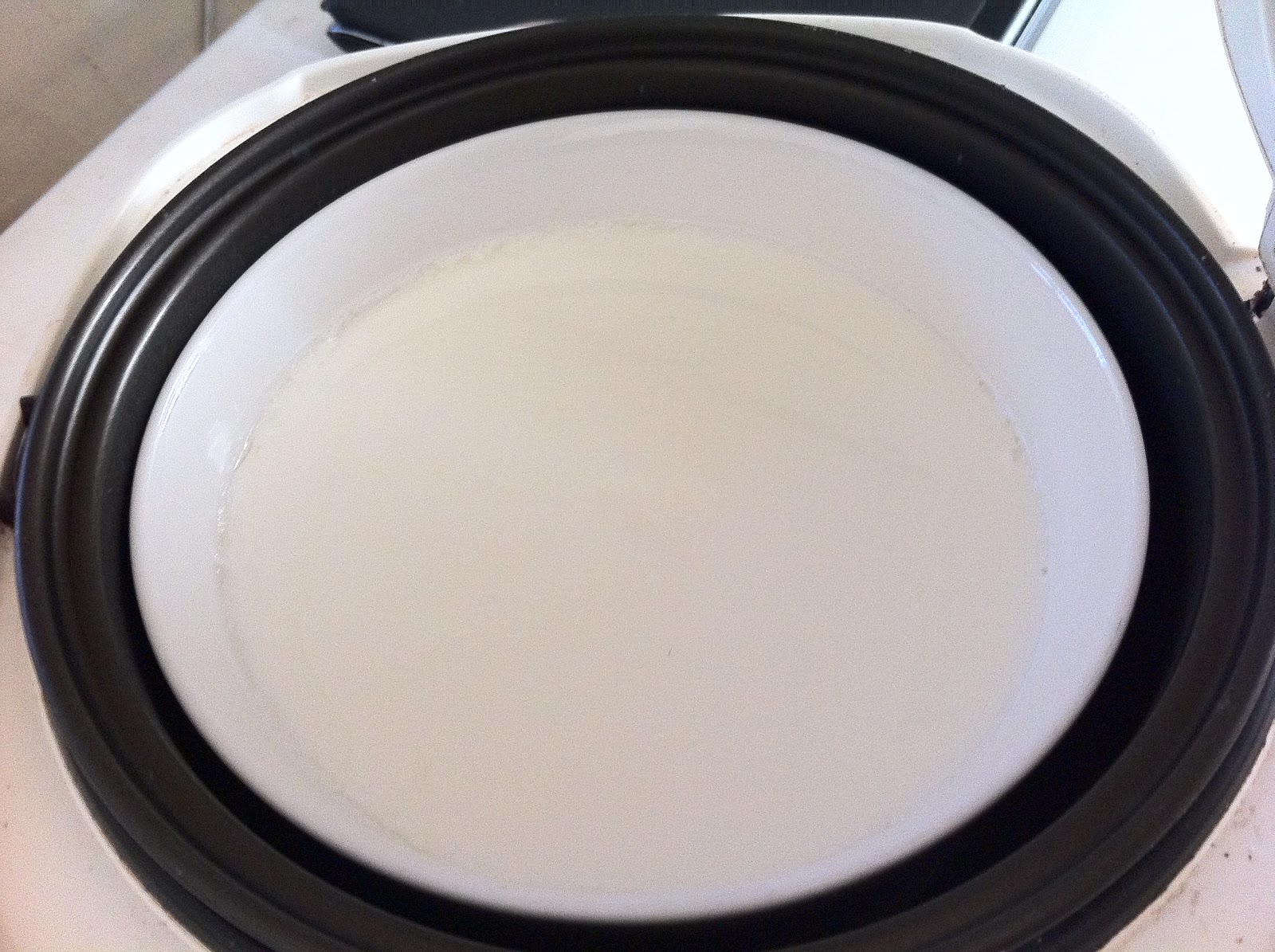 Knifing Forking Spooning Making Homemade Yogurt in a Rice Cooker