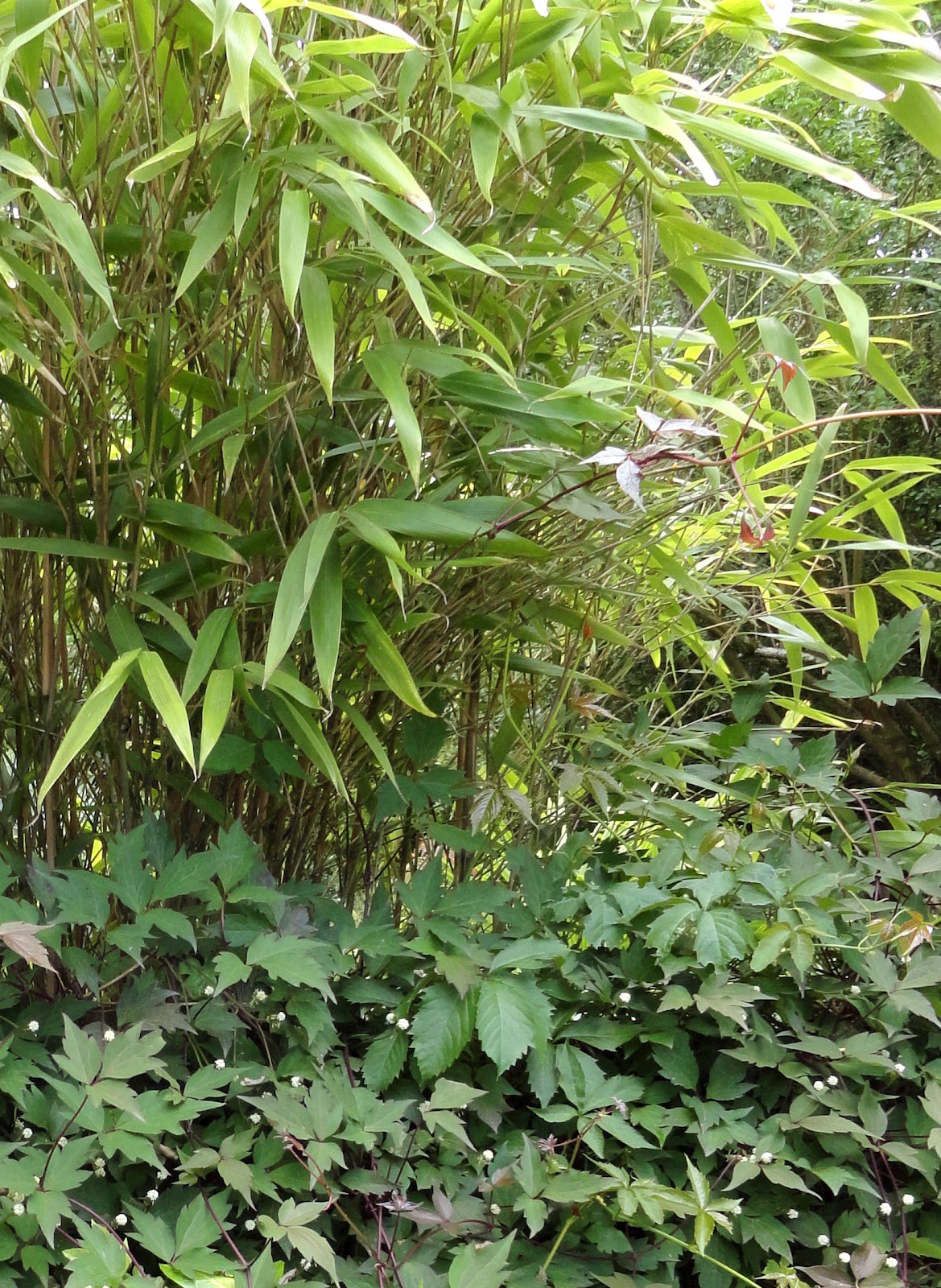 Temperate Climates A Small Guide To Organic And Ecological