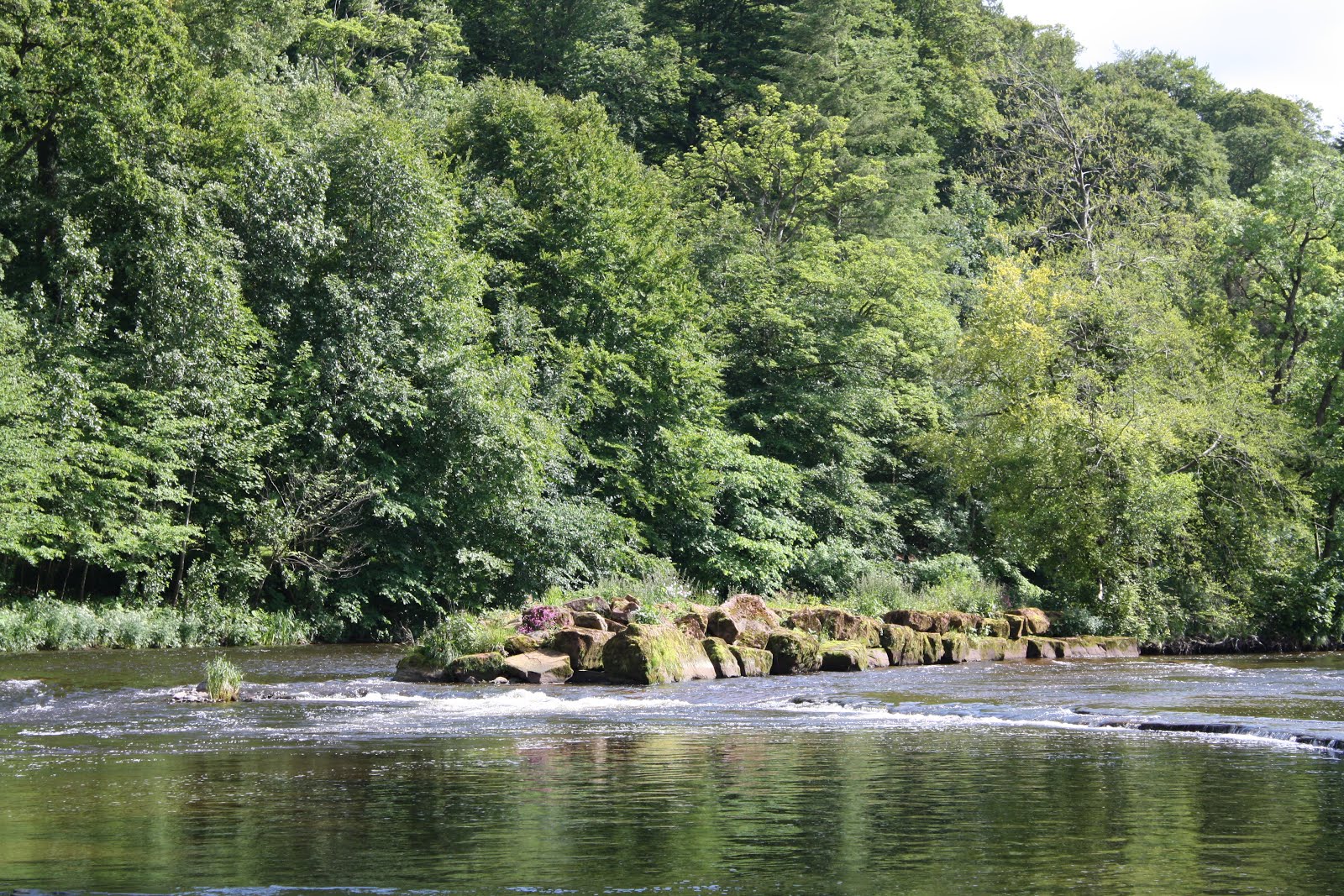 River Eden