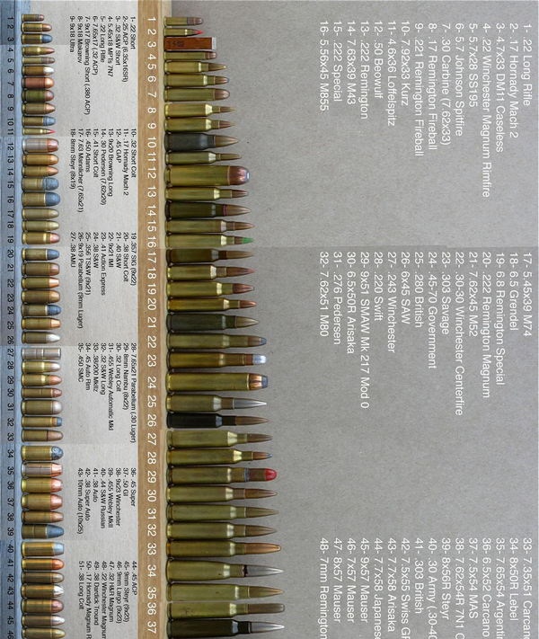 Boredom Crusher Complete Rifle Ammunition Guide. Pretty Impressive.