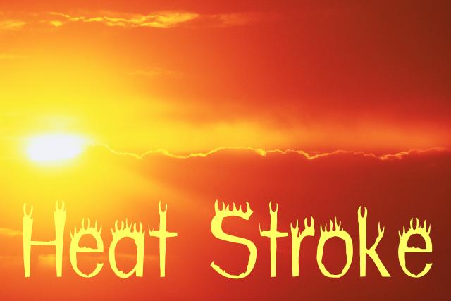 a lifestyle of wellness heat stress preventing heat stroke a lifestyle of wellness heat stress preventing heat stroke