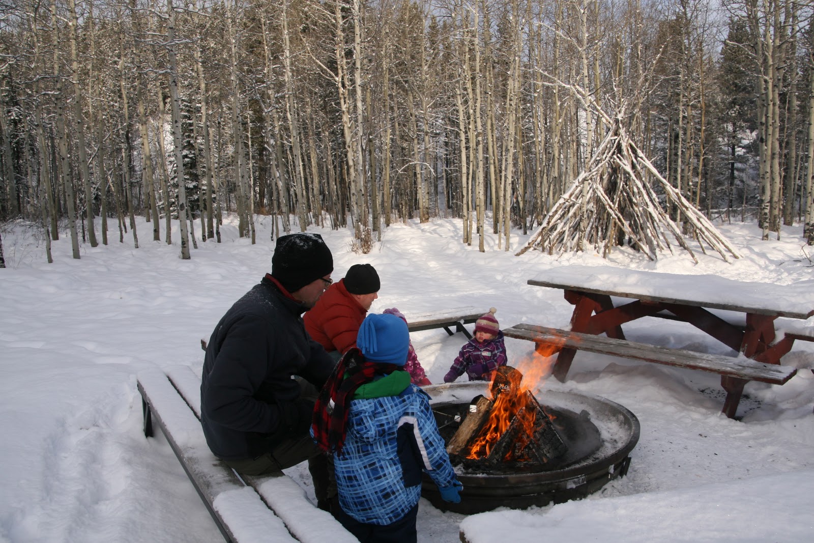 Family Adventures in the Canadian Rockies Christmas in Kananaskis