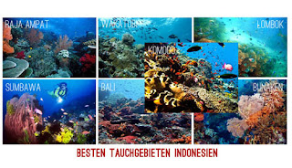 Besten Tauchgebieten Indonesien
