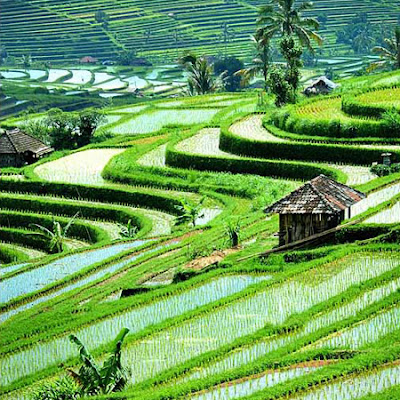 Ubud Pulau Bali