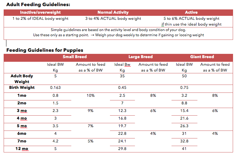 Fit for a Pet The Truth About Pet Foods The Basics of a Home Made Dog