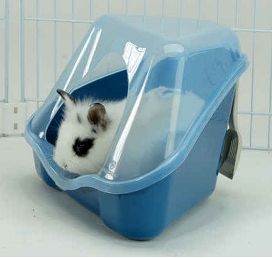 Small pets, Litter pan, Litter