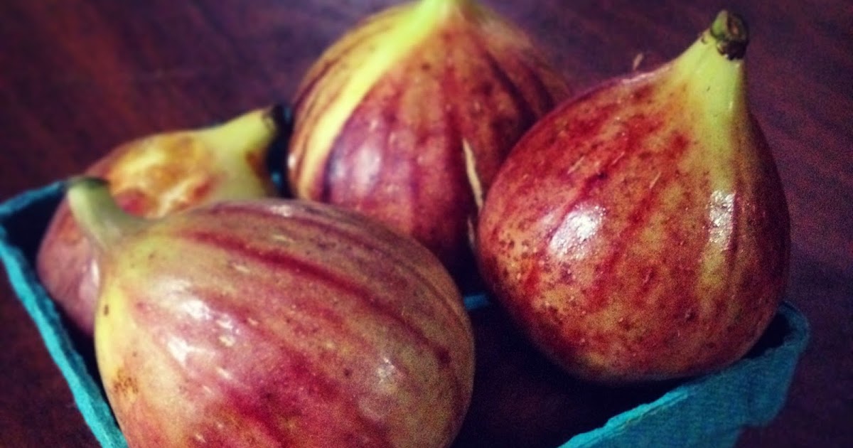 The Crumby Baker Oh the Glory of Fig Season