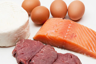 Become a Bodybuilder2 Become a Bodybuilder2