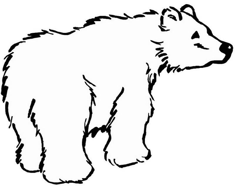Oso polar para dibujar facil Imagui