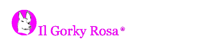 IL GORKY ROSA ®