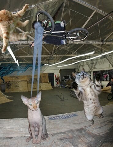 T Ampa B Ay R Iders Dr Luis Pinzon Charlotte Nc Bound