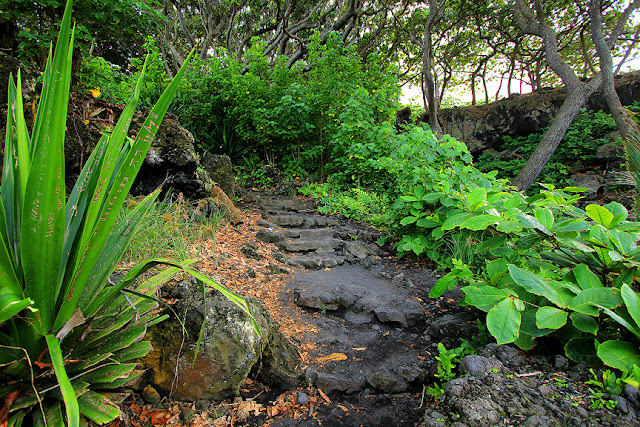 Maui Island