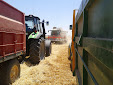 Harvesting barley 2013 with Claas Lexion