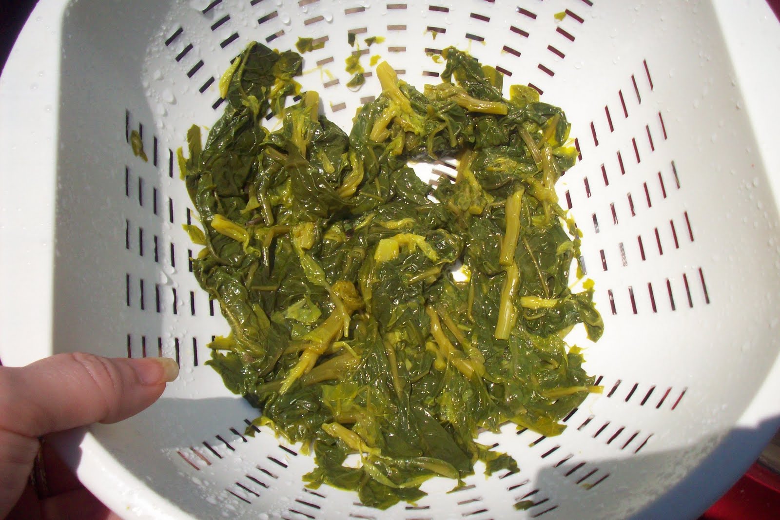 Honkus Grogana Poke Salad, Yummy, Yummy