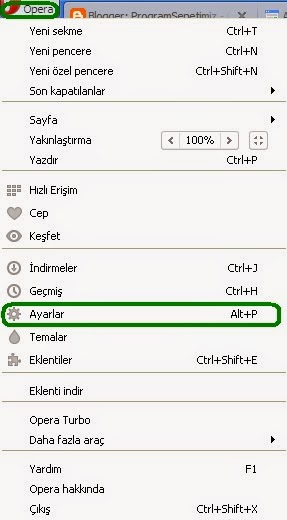 Programsepetimiz Google Ana Sayfam Yap Opera