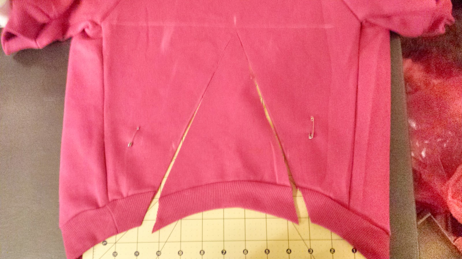 DZ's Adventures Custom Fit DIY Dog Sweatshirt