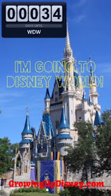 countdown to Walt Disney World