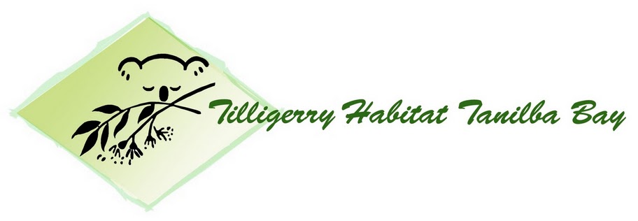 Tilligerry Habitat