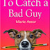 To Catch a Bad Guy - Free Kindle Fiction