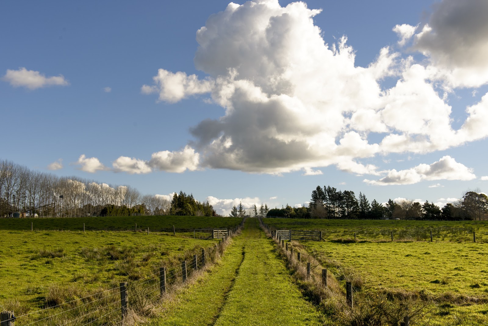 New Zealand Travel Map Globetrotter Travel Map: Graeme