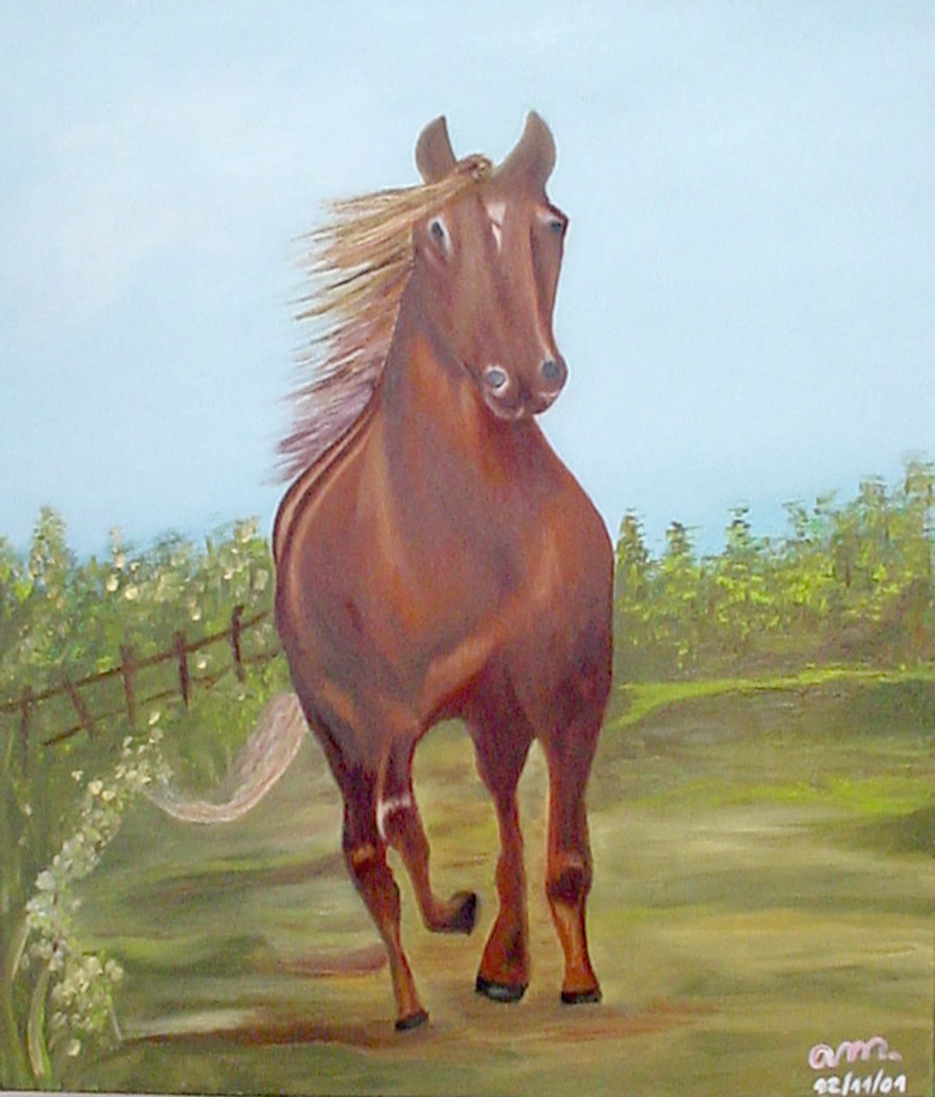 Joe cavalo