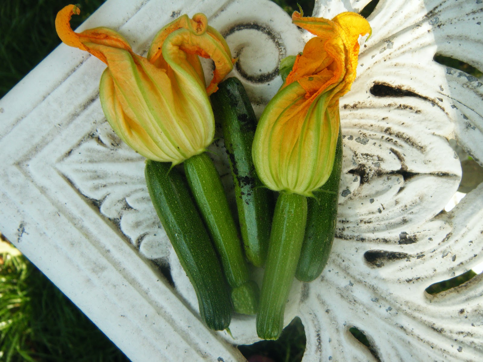 cheesymash Baby courgettes, with flowers, in chickpea and beer batter